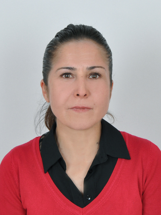 HALİSE AYDIN