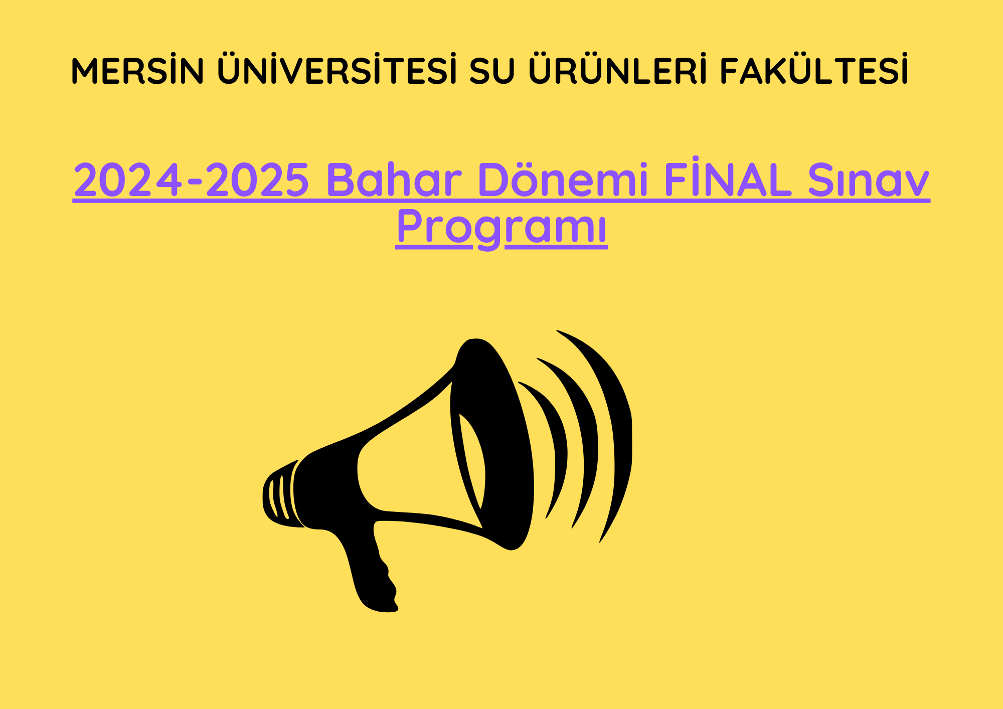2024-2025 Bahar Dönemi FİNAL Sınav Programı detayı için tıklayınız